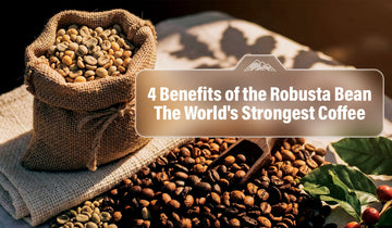 4 Benefits of the Robusta Bean — The World's Strongest Coffee