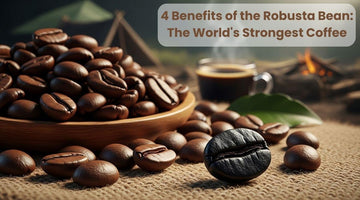 4 Benefits of the Robusta Bean — The World's Strongest Coffee