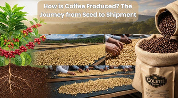  The Journey from Seed to Shipment